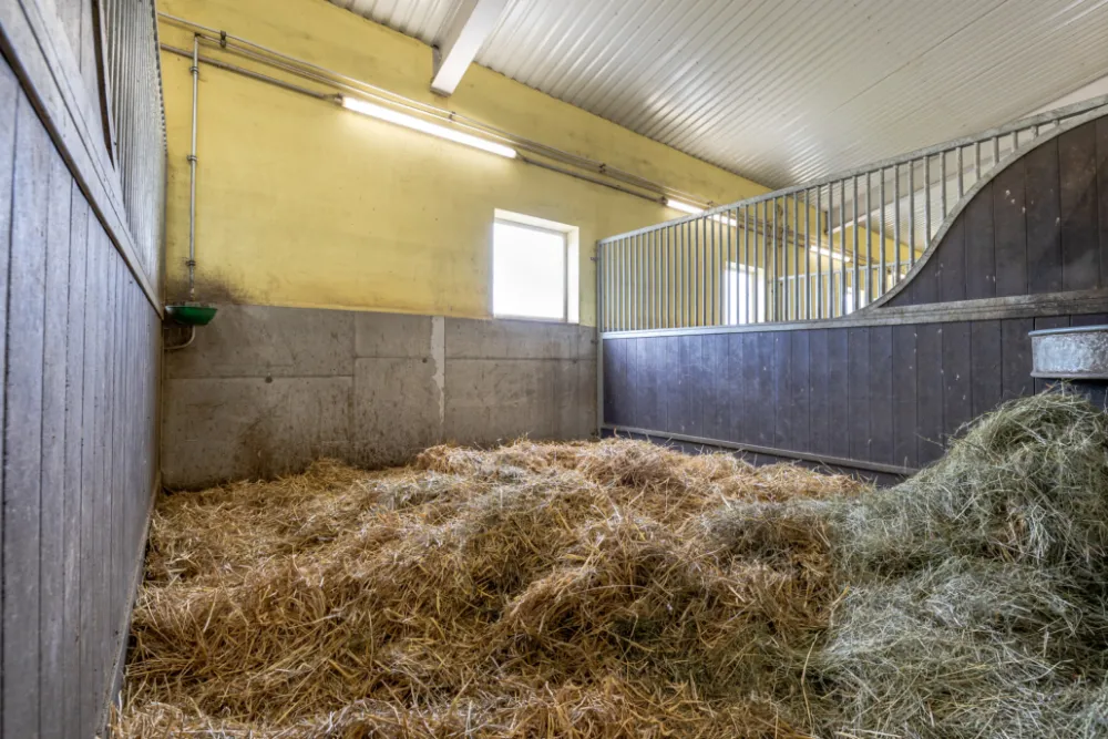 Frisch mit Stroh eingestreute Pferdebox mit Heuvorrat in der Ecke
