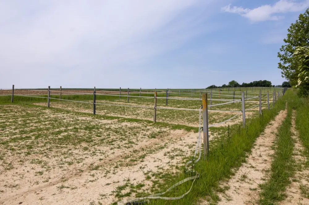 Koppeln mit Holzpfosten und Litzenzaun entlang eines Feldwegs