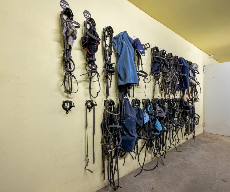 Sattelkammer mit Trensen und Decken, ordentlich an der Wand aufgehängt