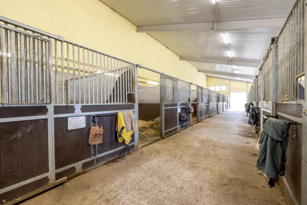 Stallgasse mit Pferdeboxen aus Holz und Gitterstäben, am Ende der Gasse fällt Tageslicht ein