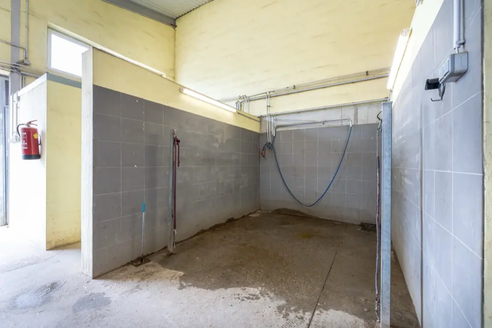 Gefliester Waschplatz mit Schlauch im Stallgebäude